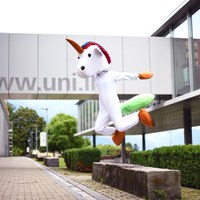 Die besten Plätze am #unili-Campus – folge dem Unilicorn