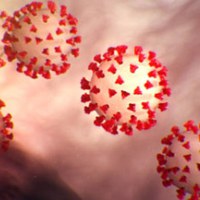 Coronavirus – Informationen für Universitätsangehörige