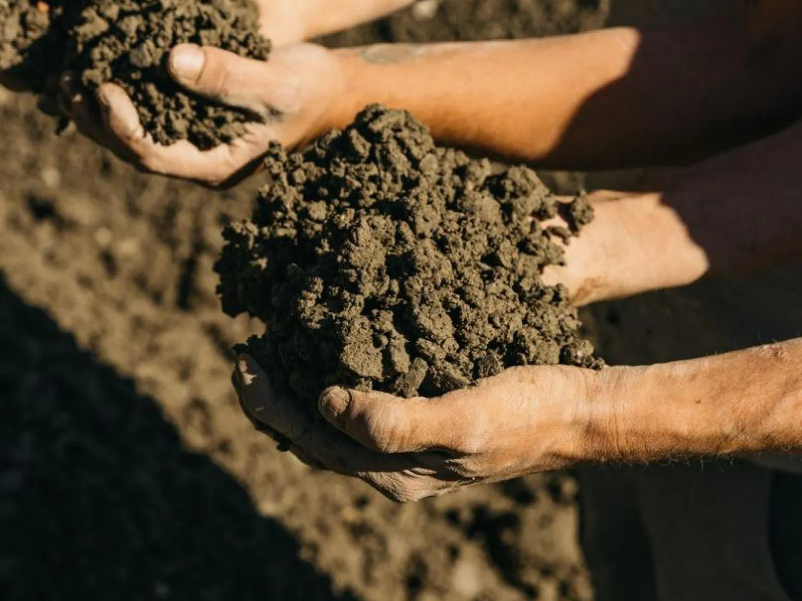 Zwei Hände halten feuchte Erde, symbolisierend nachhaltiges Bauen und Lehmbaukompetenz an der Universität Liechtenstein.