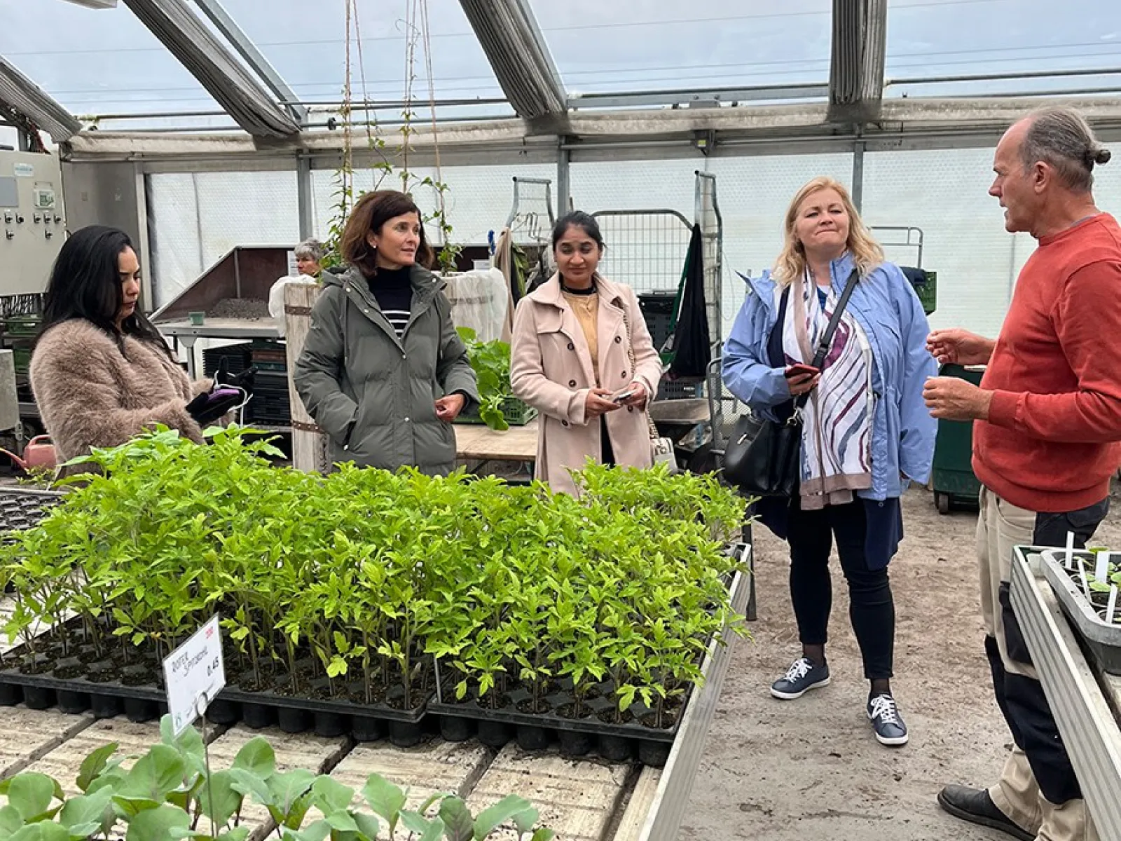Eine Gruppe von Menschen steht in einem Gewächshaus und unterhält sich. Im Vordergrund sind Pflanzensetzlinge auf Tischen zu sehen.