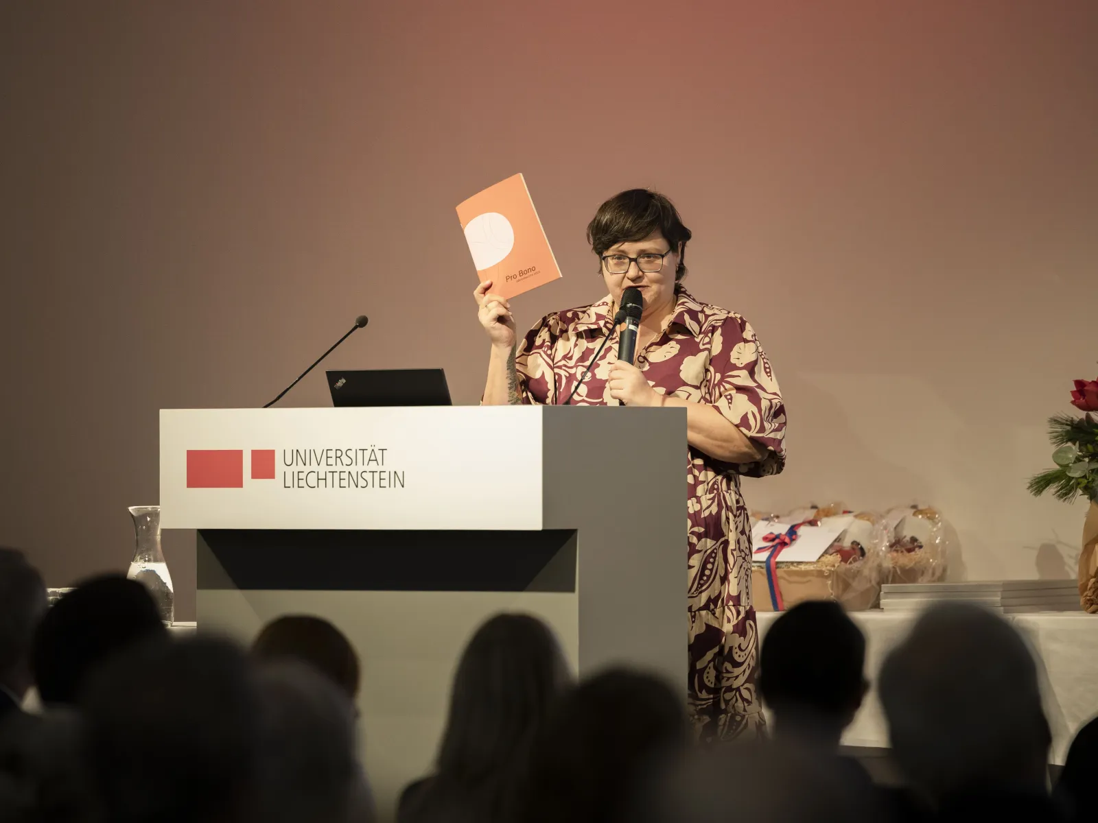 Dies25-Newsbeitrag_universitaet-liechtenstein