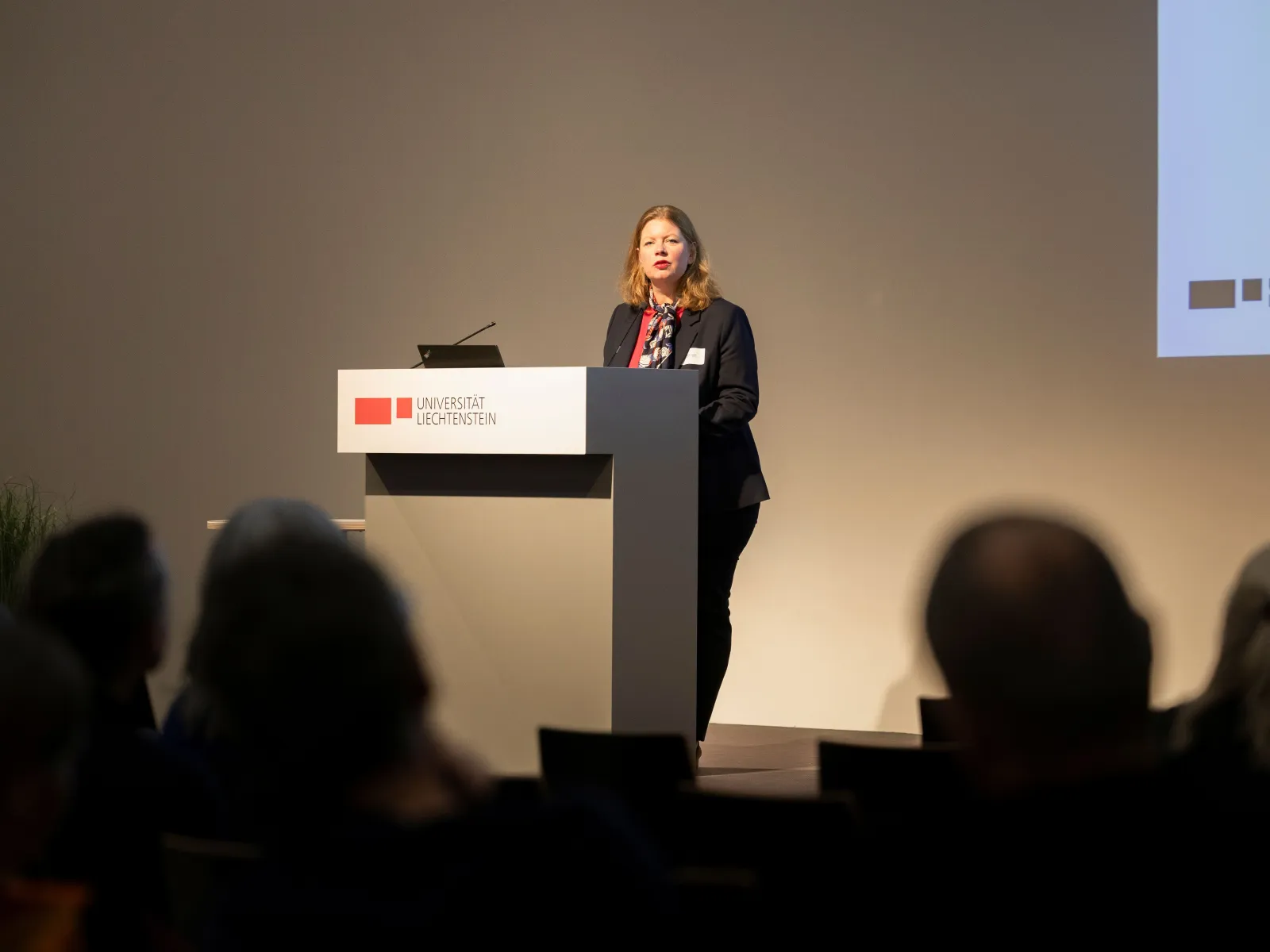 Eine vortragende Person auf einer Bühne 