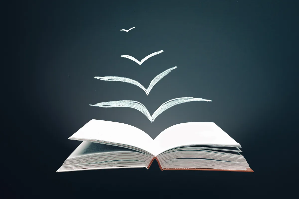 Bibliothek Fernleihe