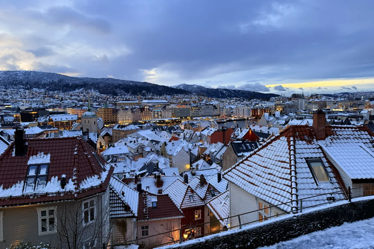 Bergen from above