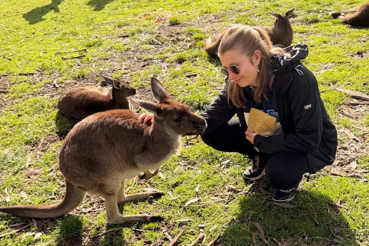 Frau streichelt ein Känguru auf einer Wiese, umgeben von weiteren Kängurus.