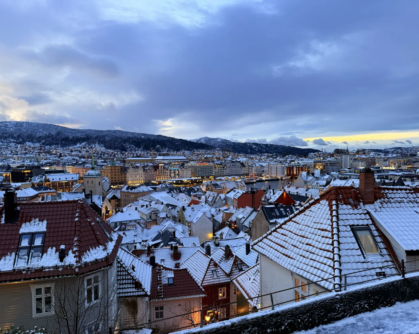 Bergen from above