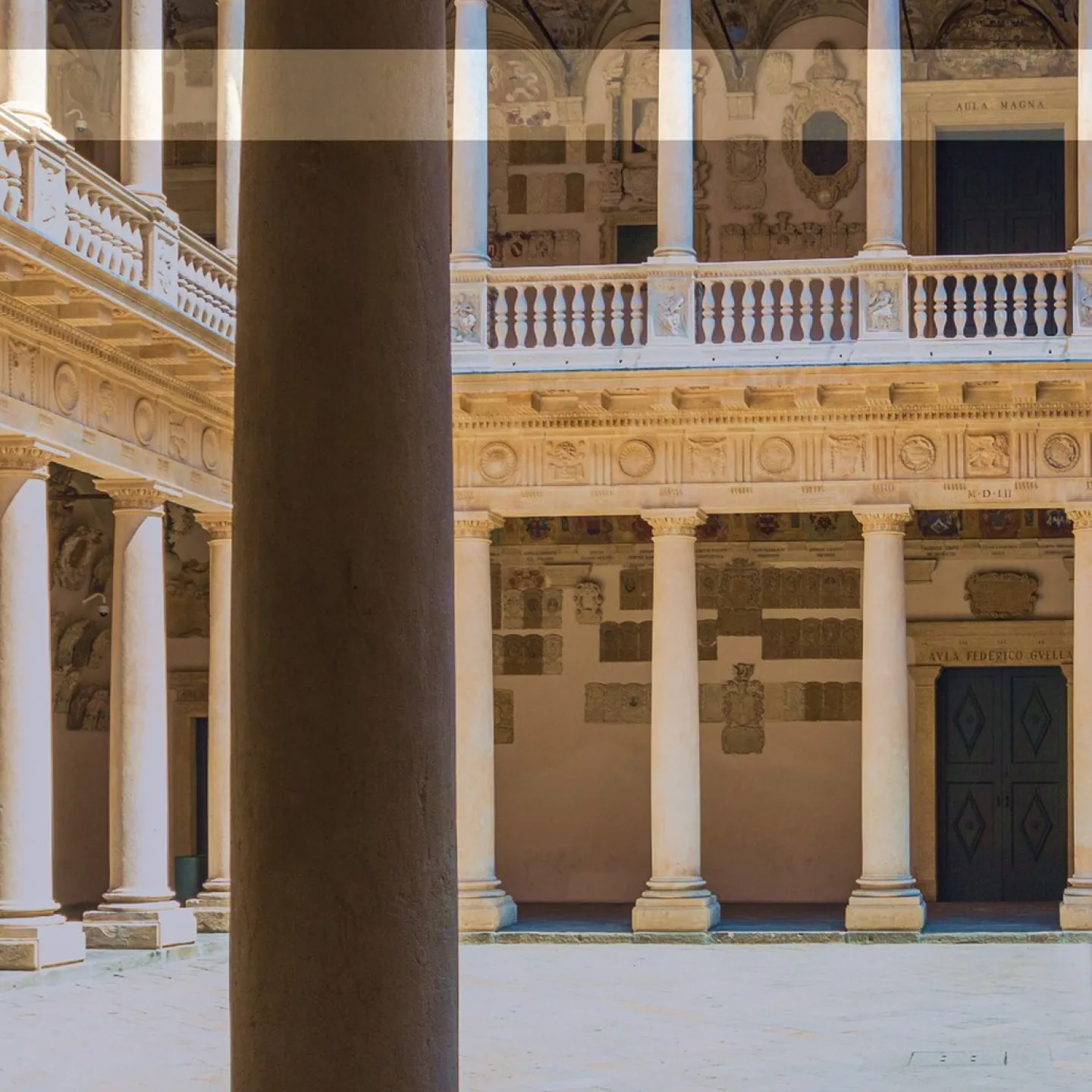 Historischer Innenhof der Universität Padua mit Säulen und verzierten Fassaden, beleuchtet von Sonnenlicht.