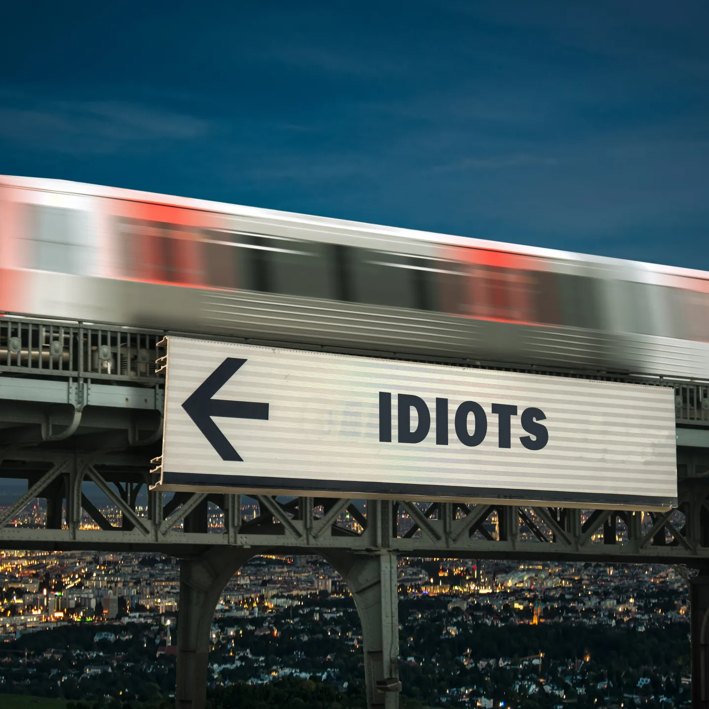 Blog_Denkraum_Idiot_Universitaet-Liechtenstein