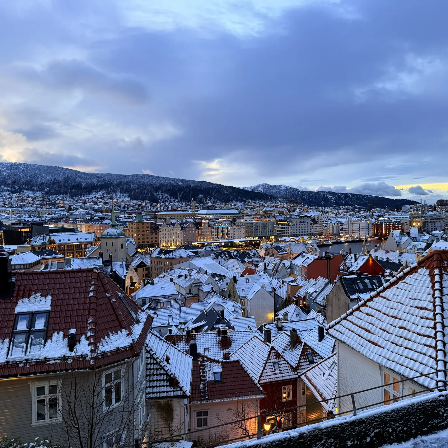 Bergen from above