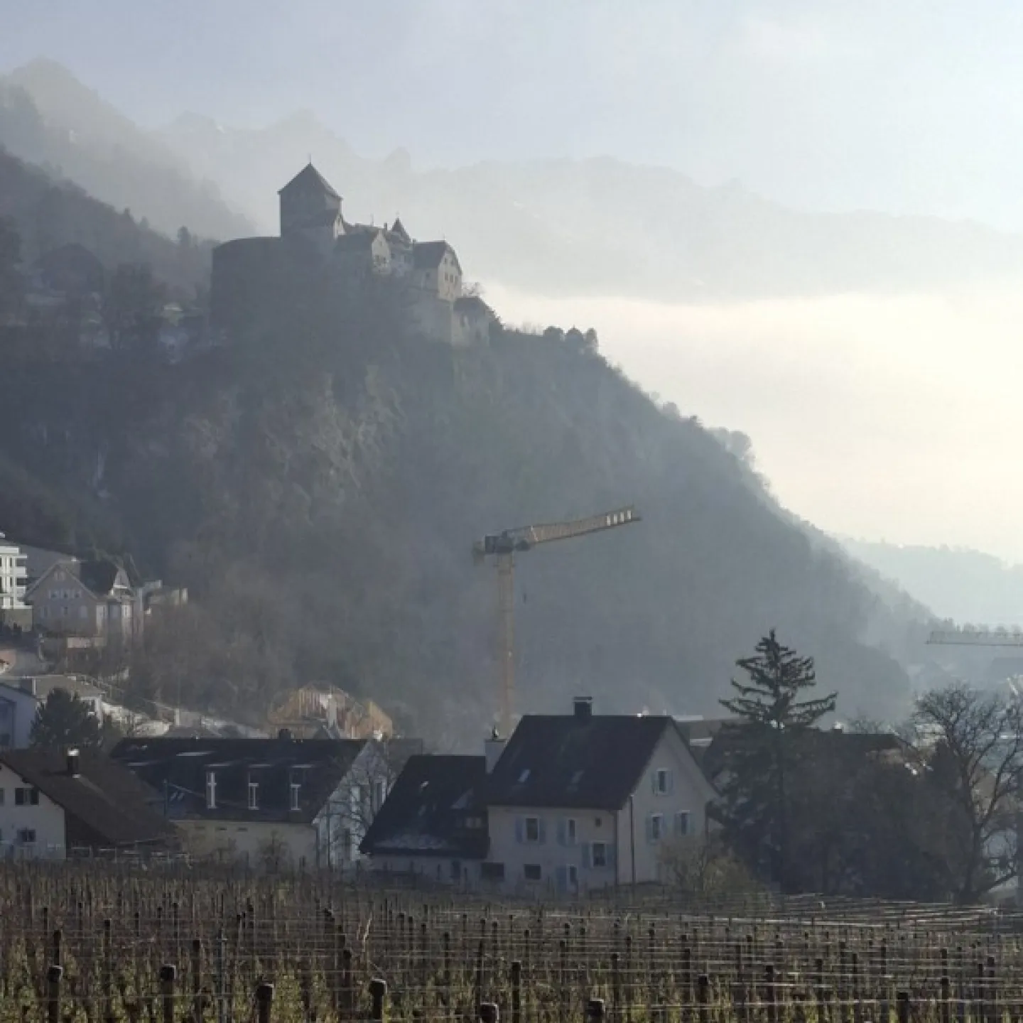 Bild mit Schloss und Weinberg.