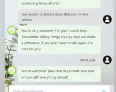 Beispiel eines Therapie-Chats aus Lynn Weiskers Masterarbeit. 