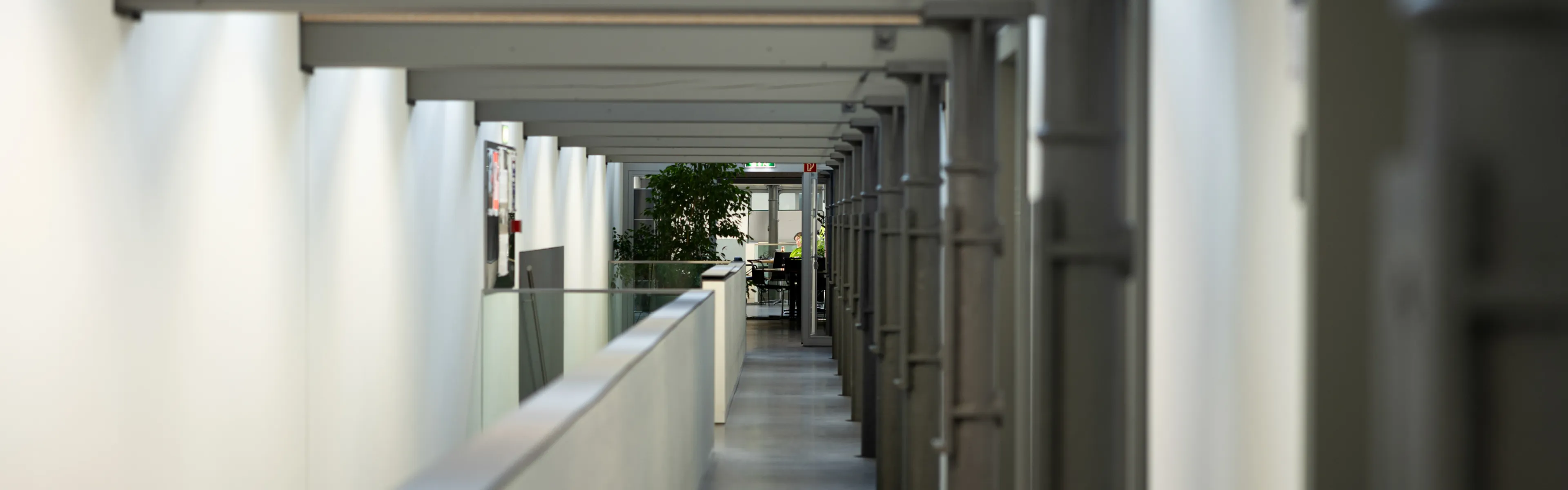 Moderner Flur mit Säulen und Oberlichtern im Gebäude der Universität Liechtenstein.