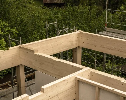 Holzkonstruktion eines Gebäudes im Bau, umgeben von grüner Landschaft und Gerüsten.