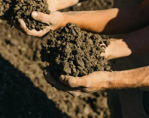 Zwei Hände halten feuchte Erde, symbolisierend nachhaltiges Bauen und Lehmbaukompetenz an der Universität Liechtenstein.