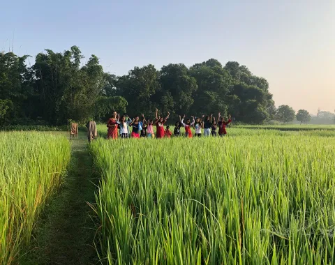 Eine Gruppe von Menschen steht in einem grünen Reisfeld in Bahuarwa, Indien, umgeben von Bäumen und einem klaren Himmel. Sie heben freudig die Arme, was eine Atmosphäre der Gemeinschaft und des Feierns vermittelt.