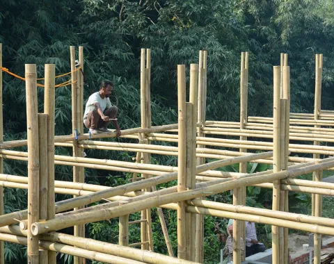 Ein Arbeiter sitzt auf einem Bambusgerüst, das Teil eines Schulbauprojekts in Bahuarwa, Indien, ist. Das Gerüst ist von grüner Vegetation umgeben.