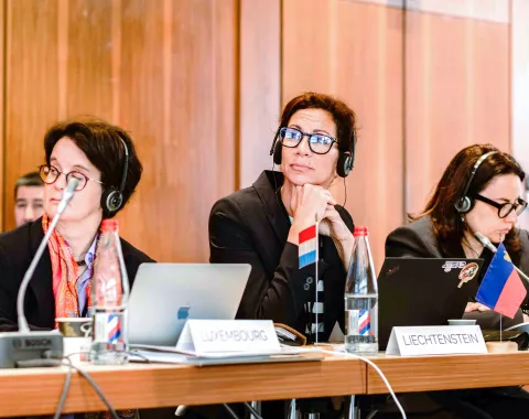 Internationale Delegierte mit Kopfhörern bei Konferenzmeeting mit Laptop und Länderflaggen Liechtenstein und Luxemburg