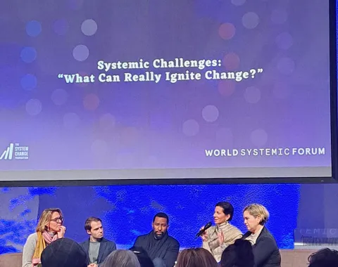 Podiumsdiskussion beim World Systemic Forum mit Publikum und Expertinnen auf der Bühne