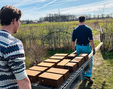 Lehmziegel, die von zwei Männern zu einer Baustelle transportiert werden