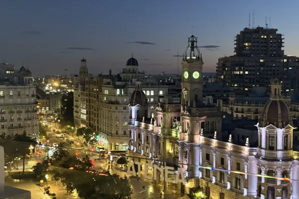 Hier sieht man die Innenstadt von Valencia.